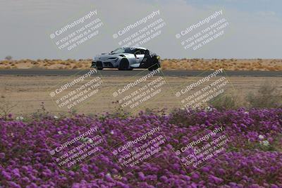media/Feb-12-2023-Club Racer Events (Sun) [[9ed0490a96]]/1-Super Advanced (Red)/Session 3 (Turn 2)/